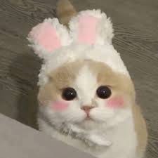 Agus Setiawan avatar